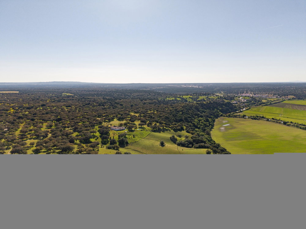 Estate with three buildings, Alcácer do Sal, Vale do Guizo 1467890537