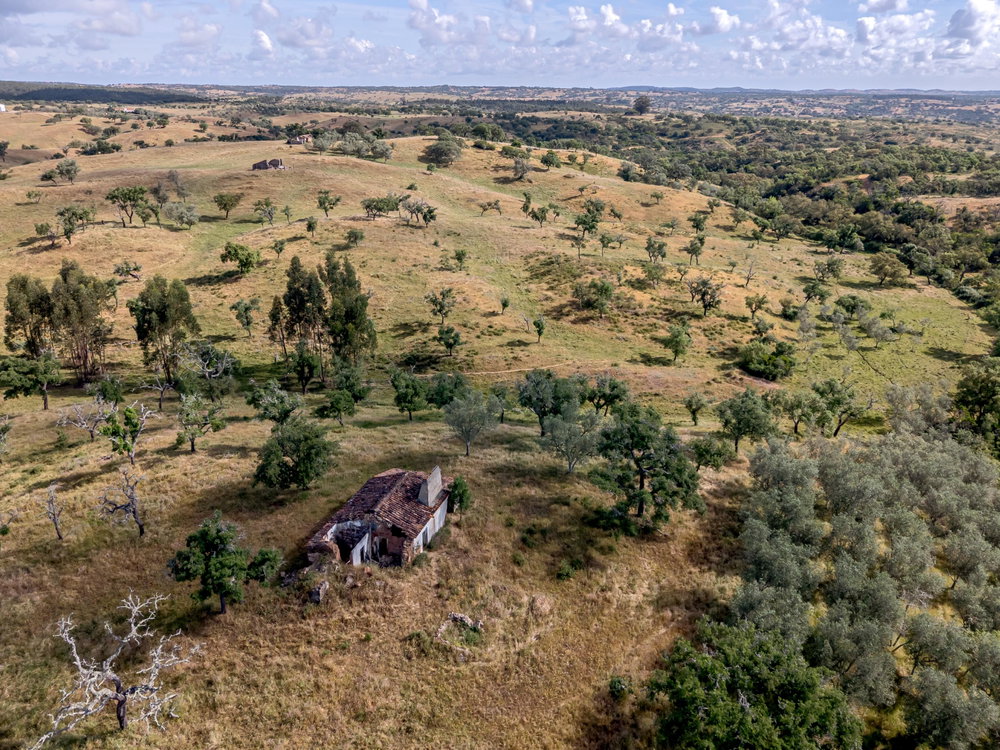 Land with 4 hectares in the Grândola Mountains, Santiago do Cacém