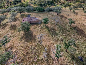 Land with 4 hectares in the Grândola Mountains, Santiago do Cacém