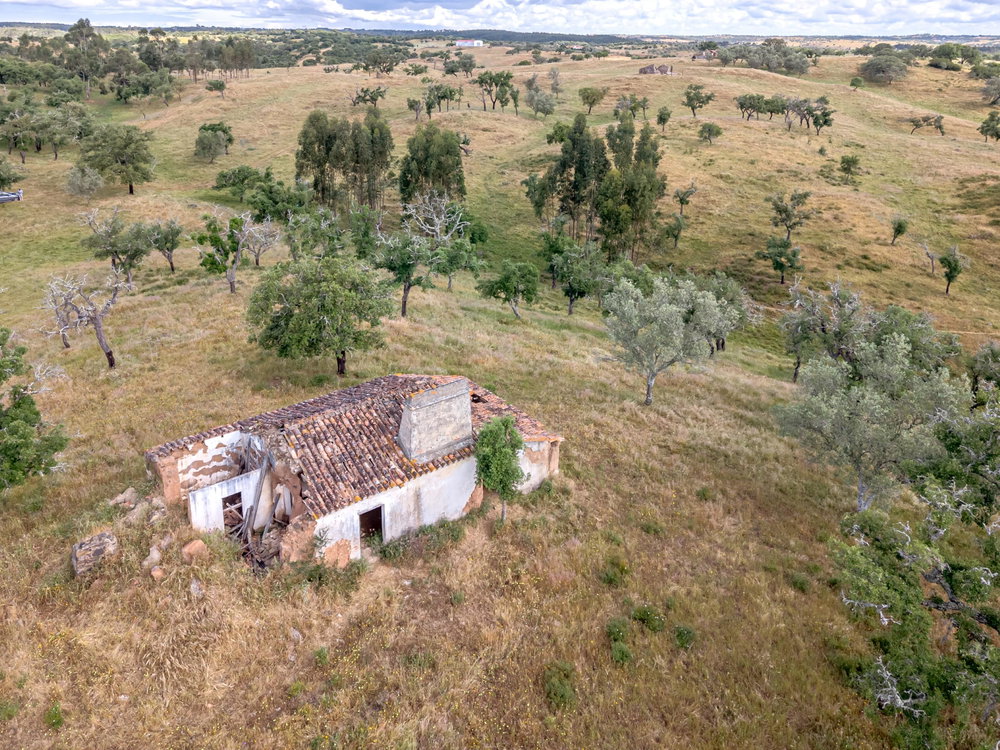 Land with 4 hectares in the Grândola Mountains, Santiago do Cacém