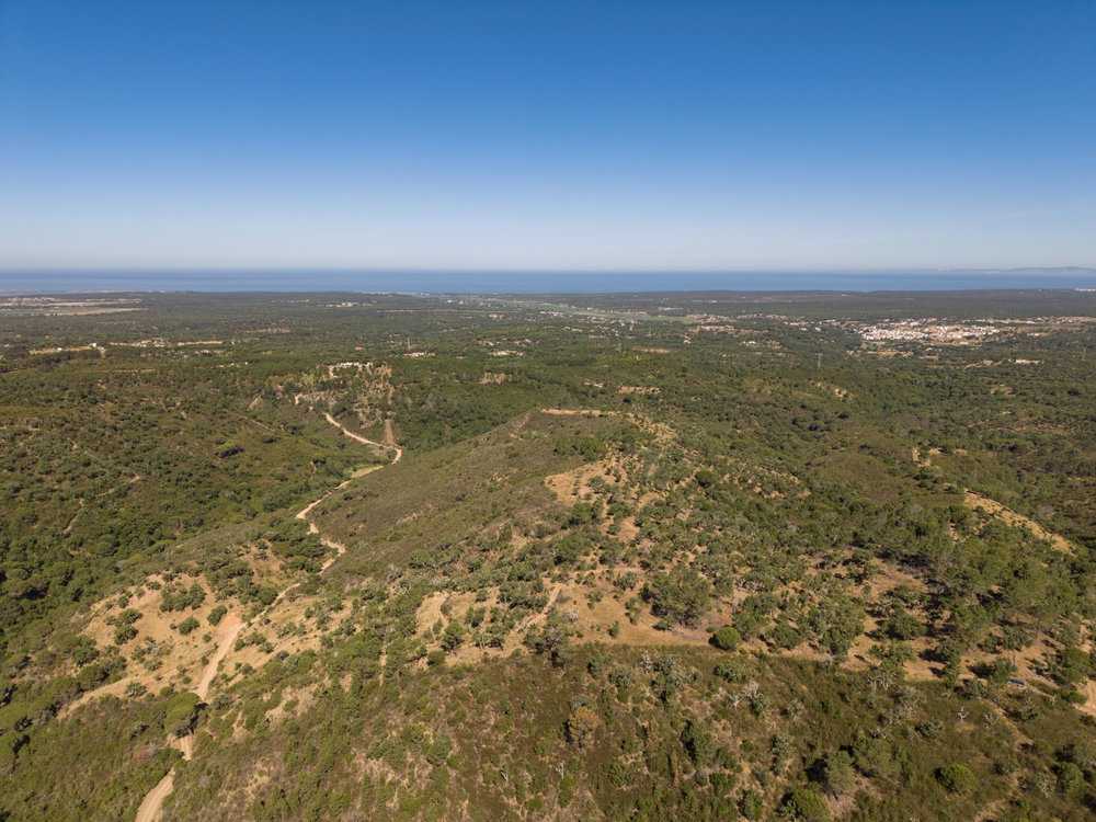 Land in Serra de Melides, Alentejo Coast, Melides 3128608231