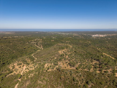Land in Serra de Melides, Alentejo Coast, Melides 3128608231