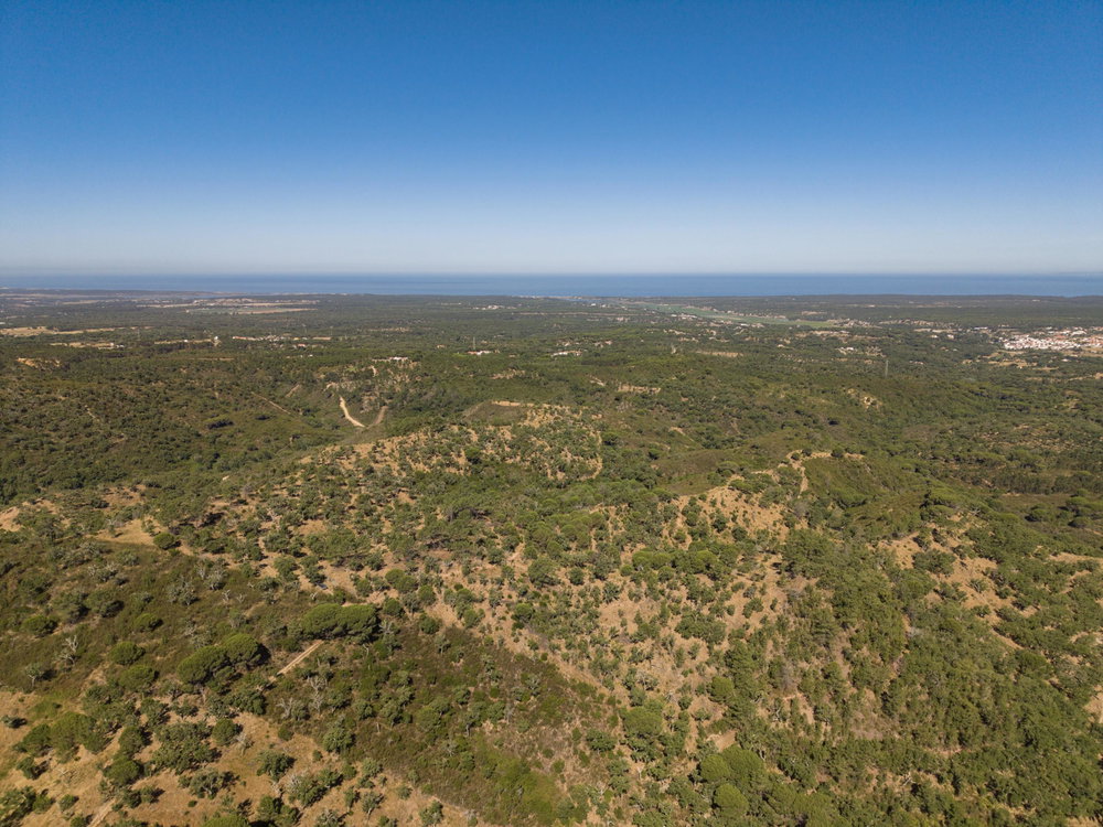 Land in Serra de Melides, Alentejo Coast, Melides 3128608231