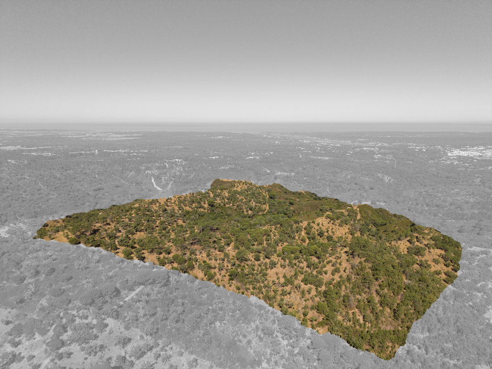 Land in Serra de Melides, Alentejo Coast, Melides 3128608231
