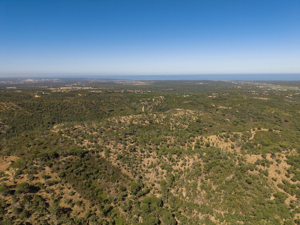 Land in Serra de Melides, Alentejo Coast, Melides 3128608231