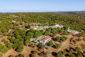 Estate with villas, in Santa Margarida da Serra, Grândola