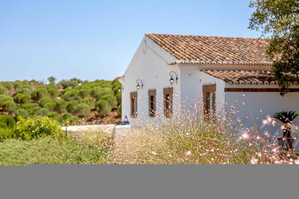 Estate with villas, in Santa Margarida da Serra, Grândola