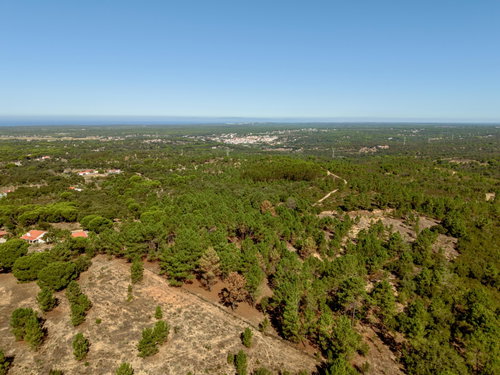 Land in the hills of Melides, Vale Figuera, Comporta