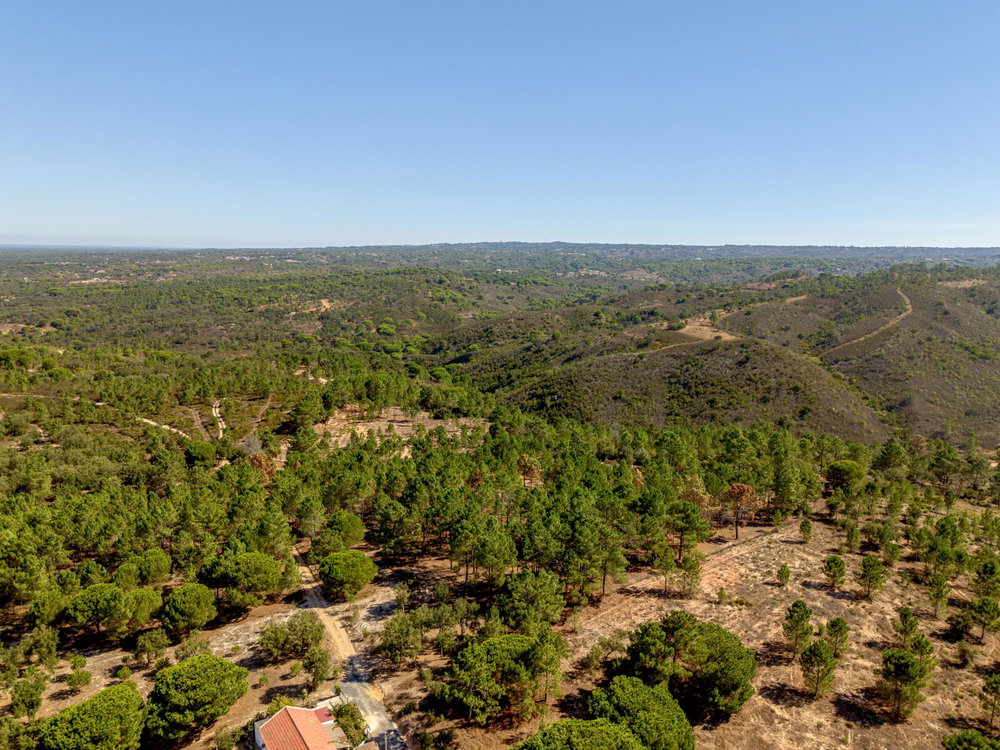 Land in the hills of Melides, Vale Figuera, Comporta