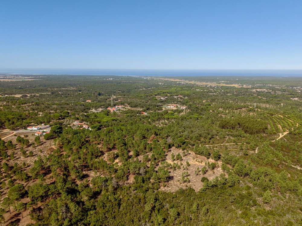 Land in the hills of Melides, Vale Figuera, Comporta