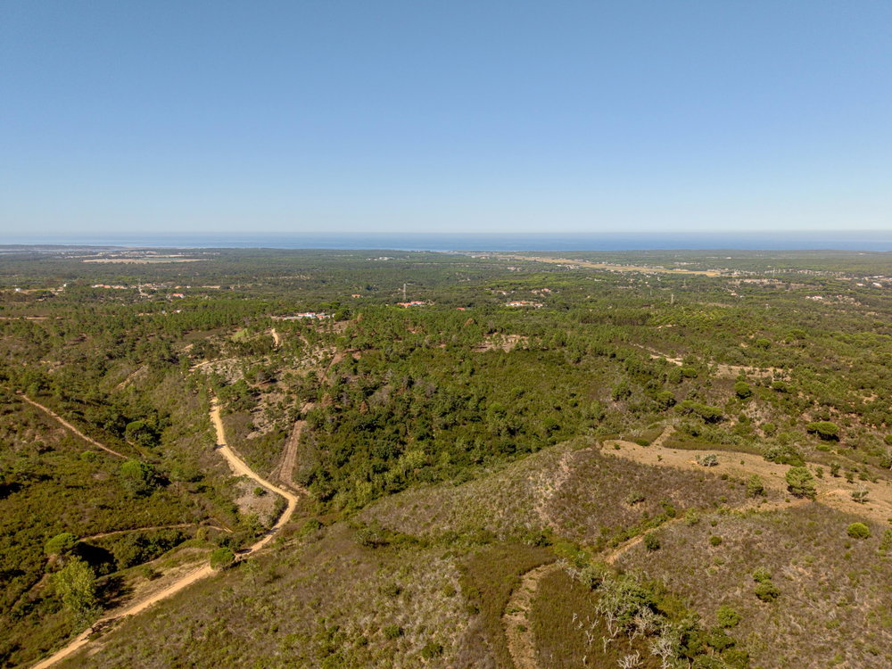 Land in the hills of Melides, Vale Figuera, Comporta