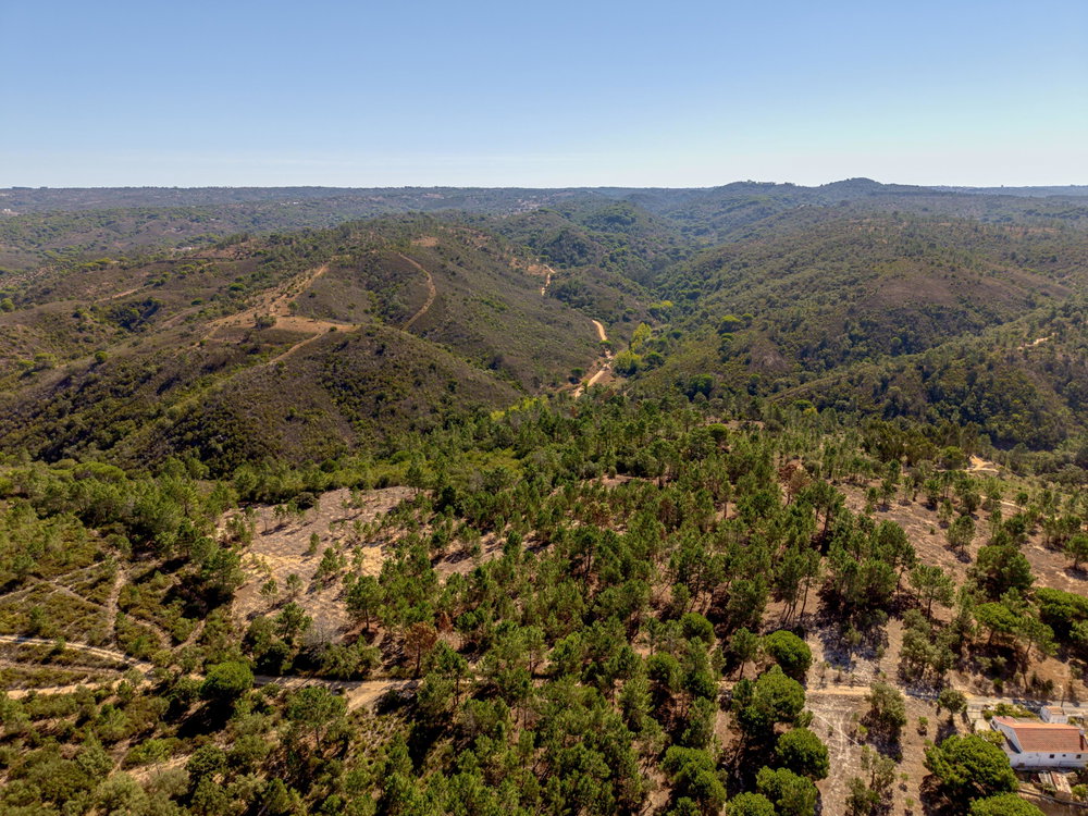 Land in the hills of Melides, Vale Figuera, Comporta