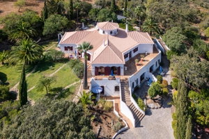 Guest house immersed in a 1 hectare land with ocean and country views 3027348347