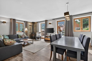 Great opportunity in Les Allues, 2 south-facing houses for sale in Meribel 1462821229