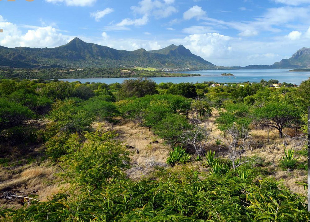 Live to the rhythm of nature: discover the unique concept of Villa S at Rivière Noire. 1924834290