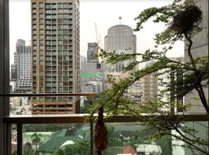 1-bedroom condo for sale on Phrom Phong 3981985524