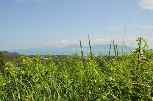 Stunning 1,200 sq.m seaview plot in Bophut 3488835020