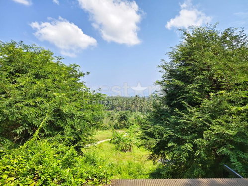 Land with Mountain view for sale in Meanam (3rai) 3496482761