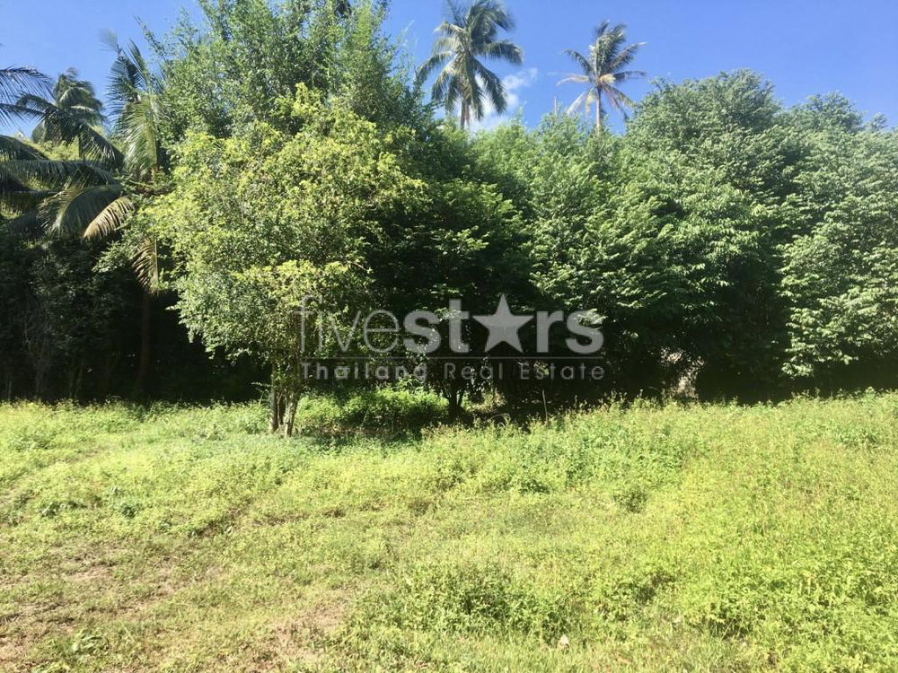 Flat land for sale in Meanam soi 1 (1,407 sqm.) 475501652