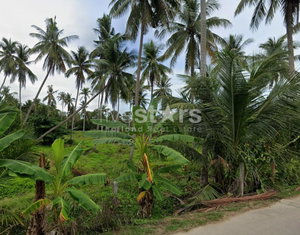 Land for sale – Lipa Noi, Koh Samui 1600949461