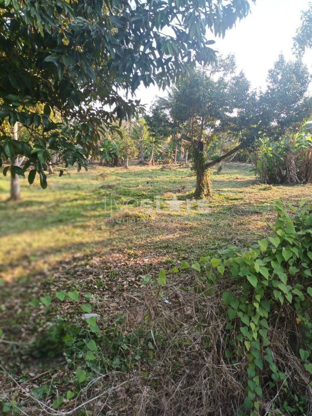 Land for sale – Lipa Noi, Koh Samui 1600949461