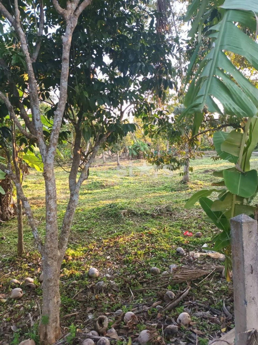Land for sale – Lipa Noi, Koh Samui 1600949461