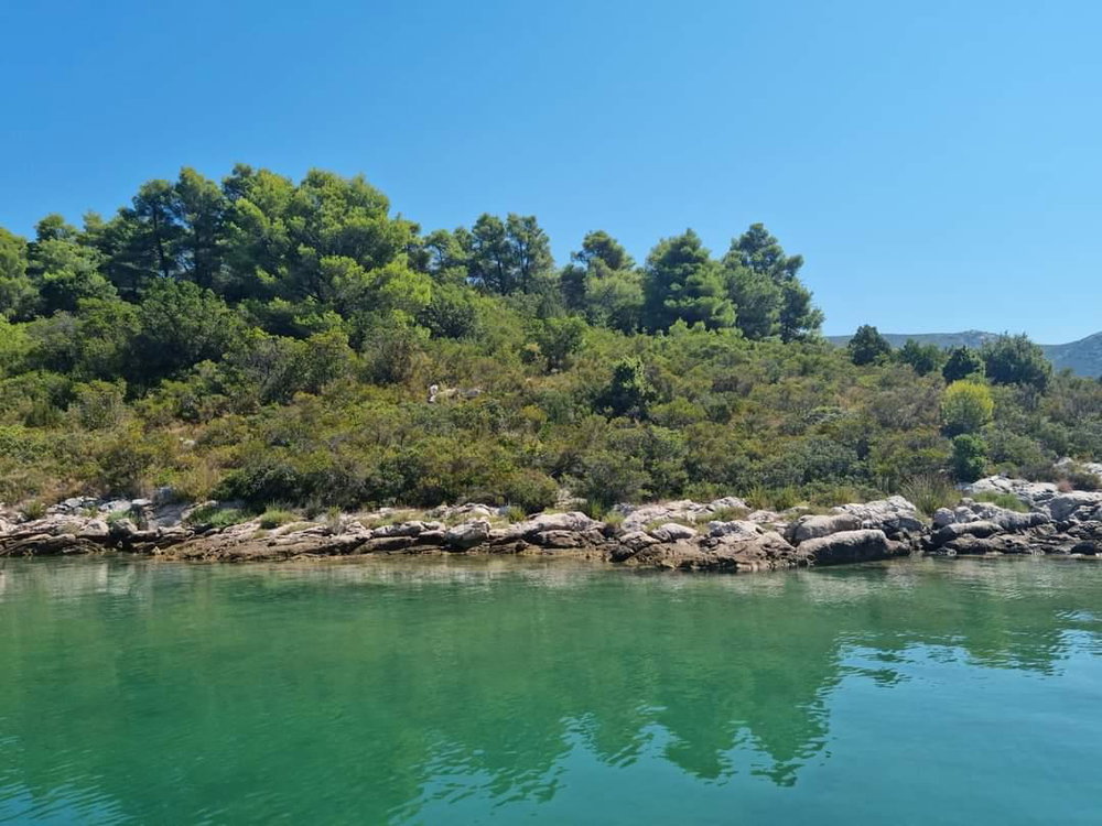 Island for sale, Dubrovnik region 202500123