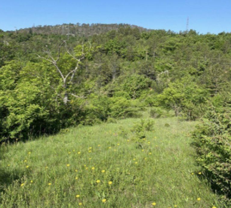House, Six Hectare Land Drniš 3021381797