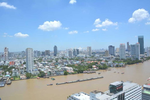 1-bedroom modern condo with stunning river views 3106063921