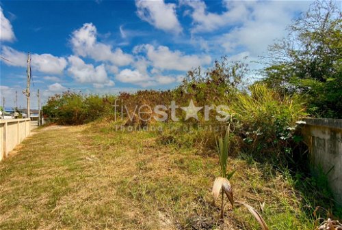 Good Size Land Plot In Excellent Location 237492789
