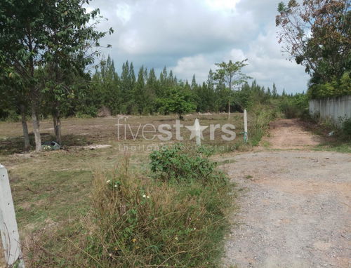 Land in great location in Soi 88 2949499237