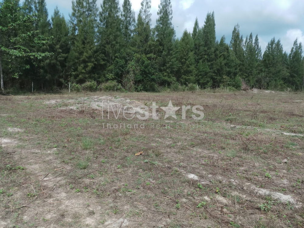 Land in great location in Soi 88 2949499237