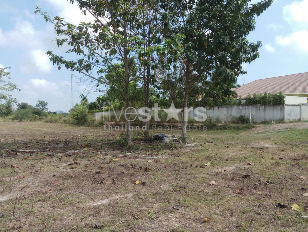 Land in great location in Soi 88 2949499237