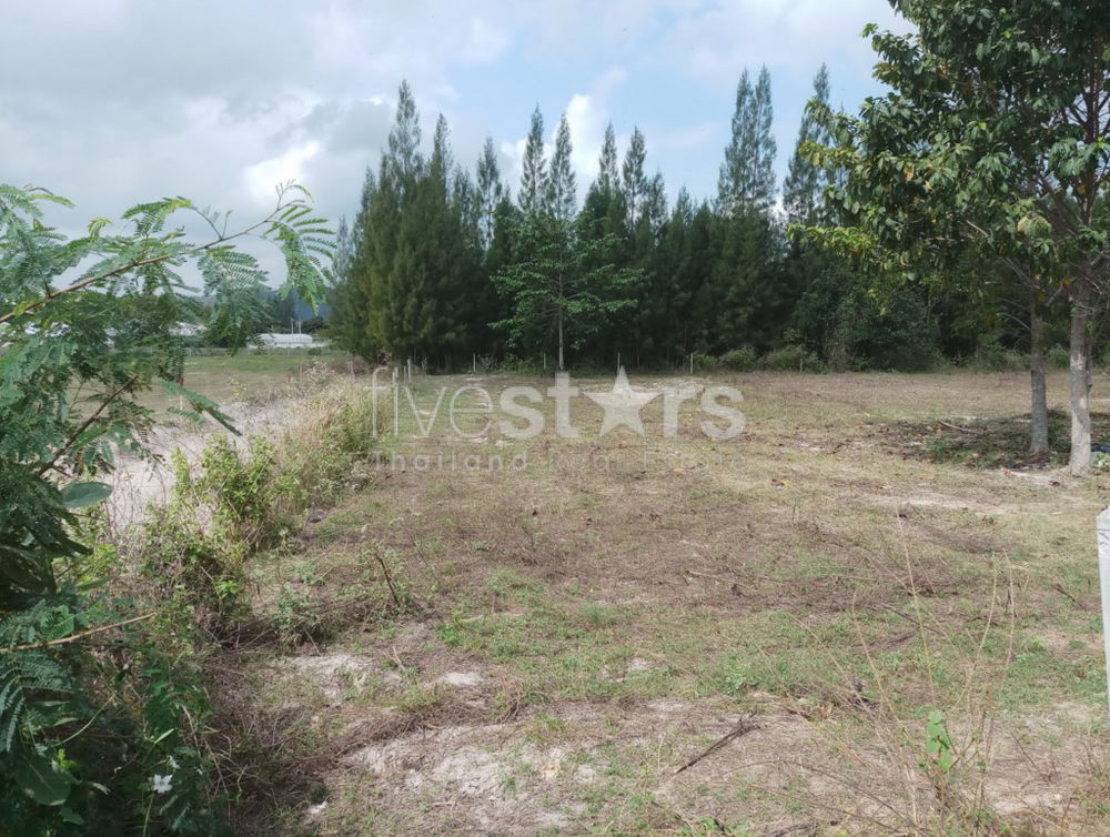 Land in great location in Soi 88 2949499237