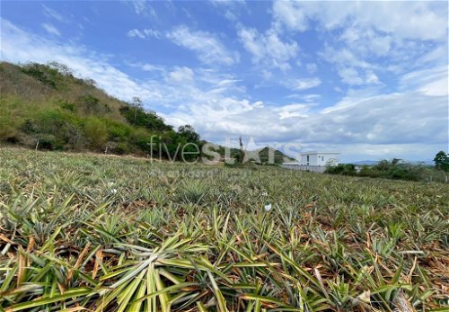 Hillside Land For Sale With Stunning Views 3560153949