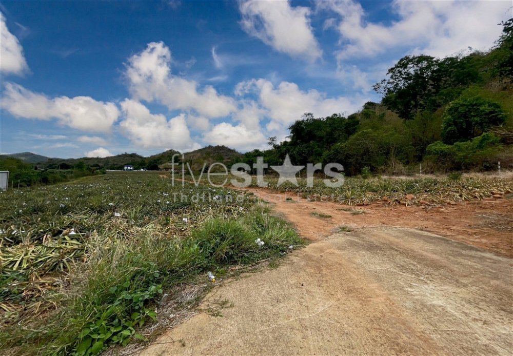 Hillside Land For Sale With Stunning Views 3560153949