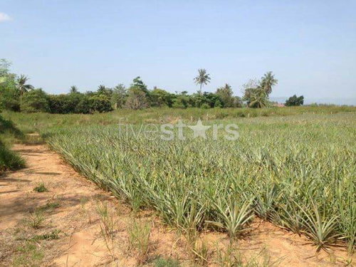3.5 Rai Of Lovely Land, Nr Main Road With Great Views. 4257860528