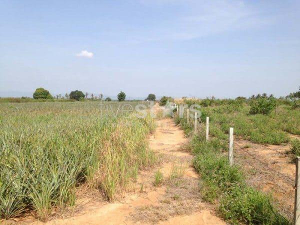 3.5 Rai Of Lovely Land, Nr Main Road With Great Views. 4257860528