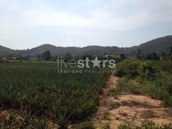3.5 Rai Of Lovely Land, Nr Main Road With Great Views. 4257860528