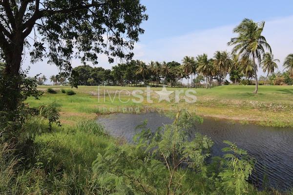 Golf course land Palm Hills for sale 2052183935