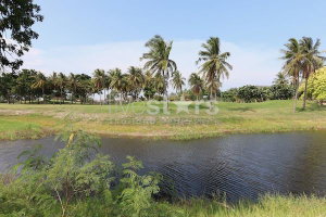 Golf course land Palm Hills for sale 2052183935