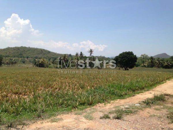 16 Rai of Beautiful View Land very Near Banyan Golf Club 98894237
