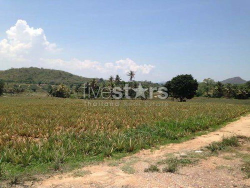 16 Rai of Beautiful View Land very Near Banyan Golf Club 98894237