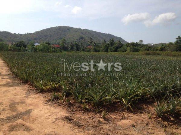 Land With Great Views 2191172991