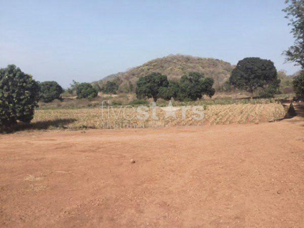 Land With Great Views 2191172991