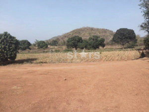 Land With Great Views 2191172991