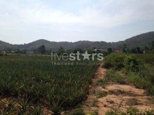 Land With Great Views 2191172991