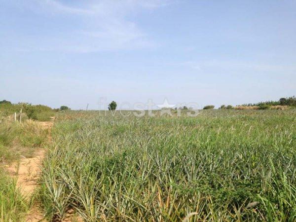 Land With Great Views 2191172991
