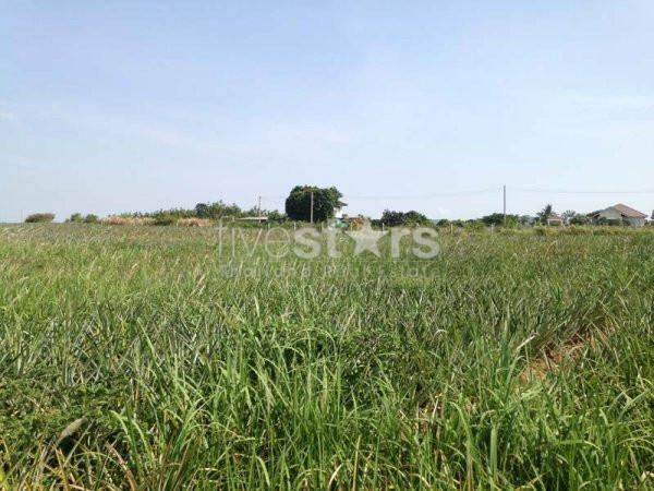 Land With Great Views 2191172991