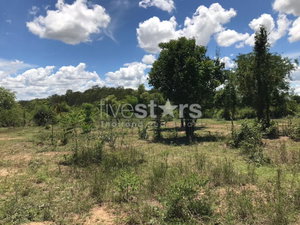 13 Rai of Land In Sam Roi Yot 4169176355